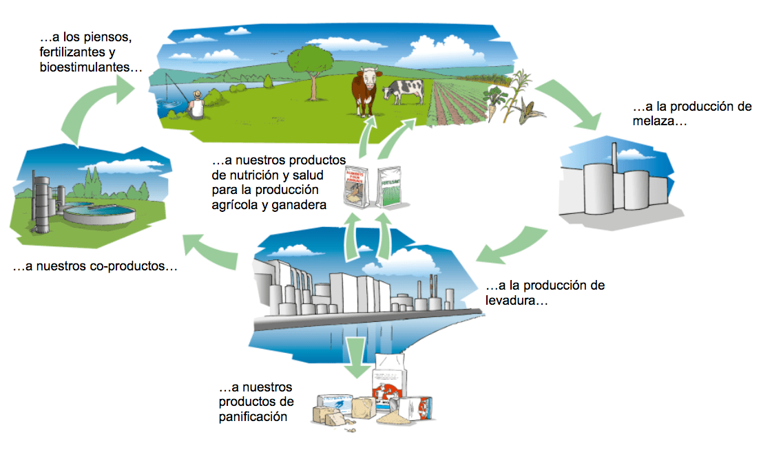 inversion factoria valladolid