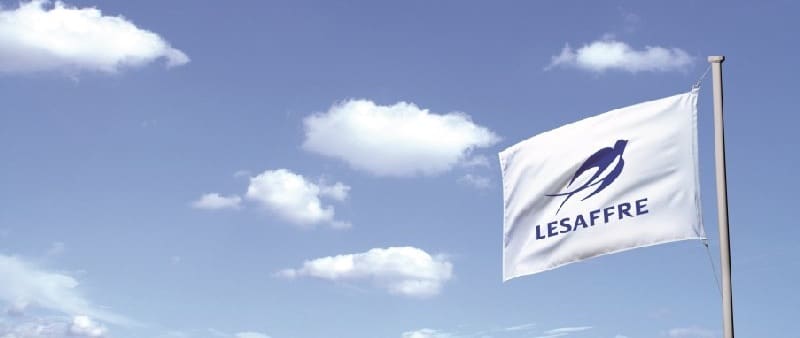 lesaffre inforetail - bandera lesaffre