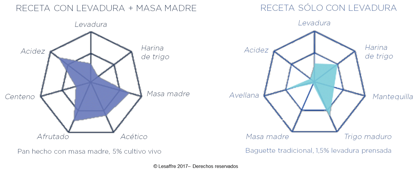 diferencia de la receta de fermentación de la levadura y masa madre y sólo la levadura